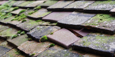 Sheepridge roof repair costs